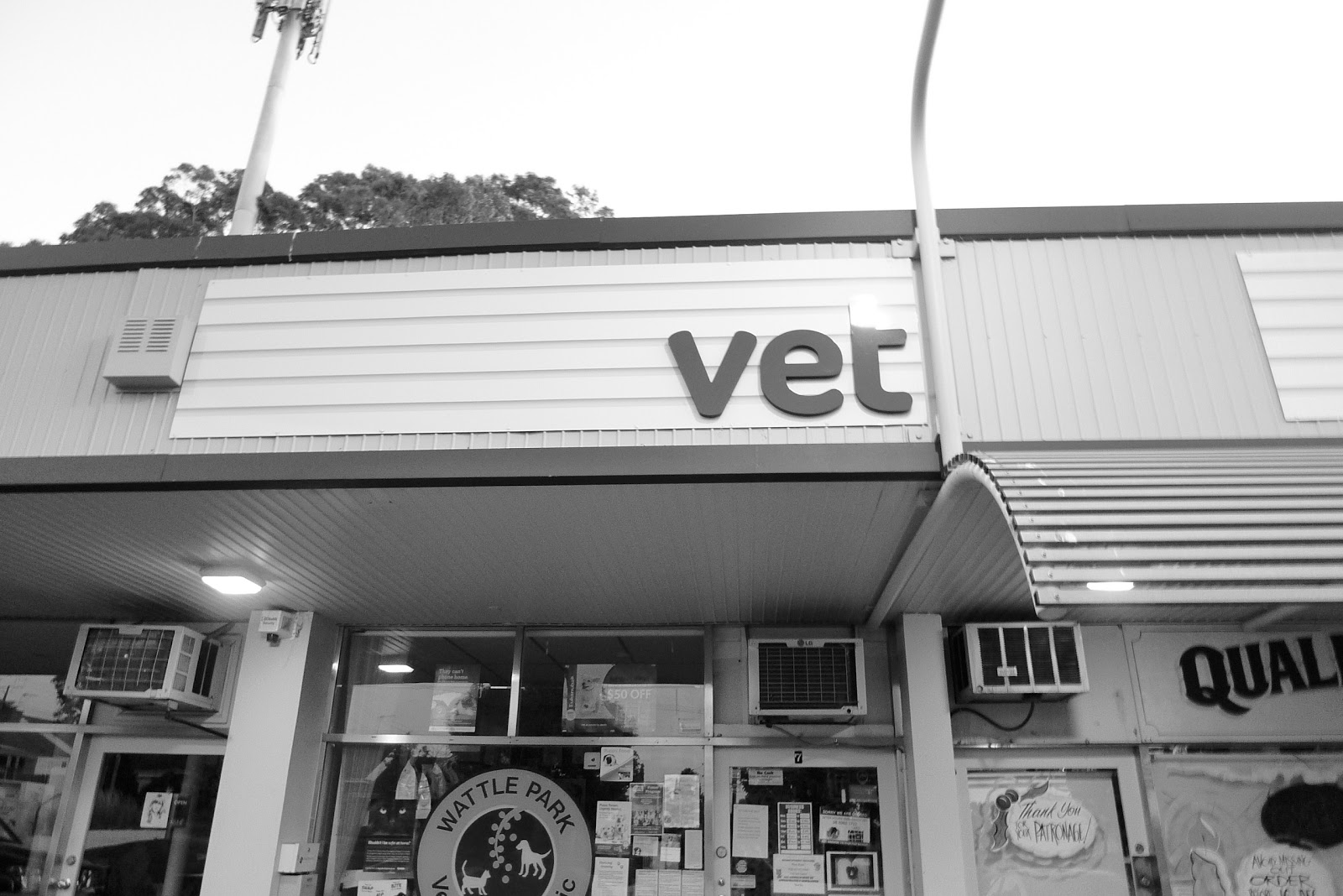 Wattle Park Veterinary Clinic - Wattle Park , Australia
