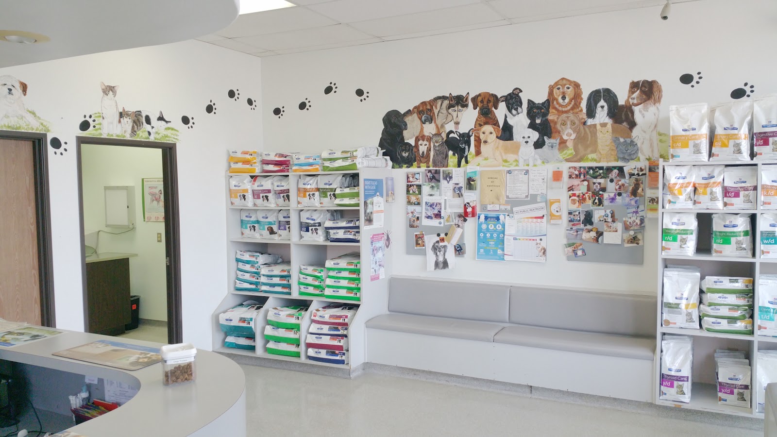 American Animal Hospital - San Diego , United States