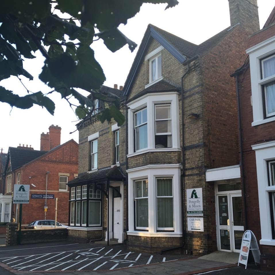 Pengelly And Mizen Veterinary Surgeons - Peterborough , United Kingdom