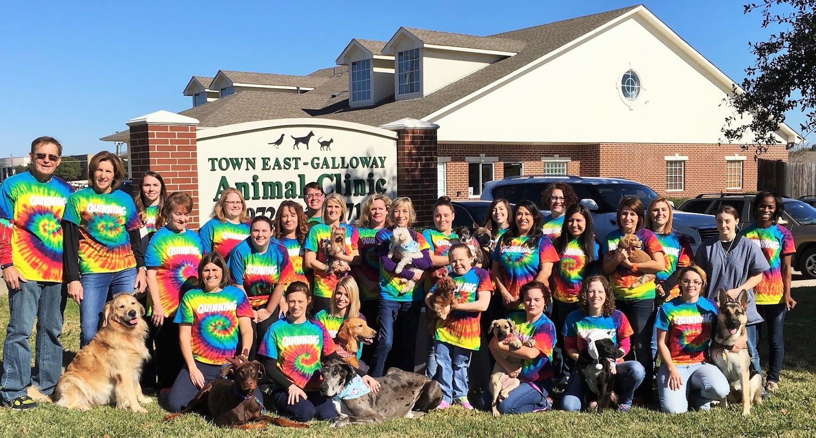 Town East Galloway Animal Clinic - Mesquite , United States