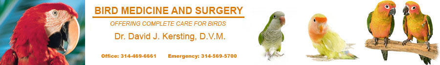 Kersting Veterinary Hospital And Bird Medicine And Surgery - Chesterfield , United States