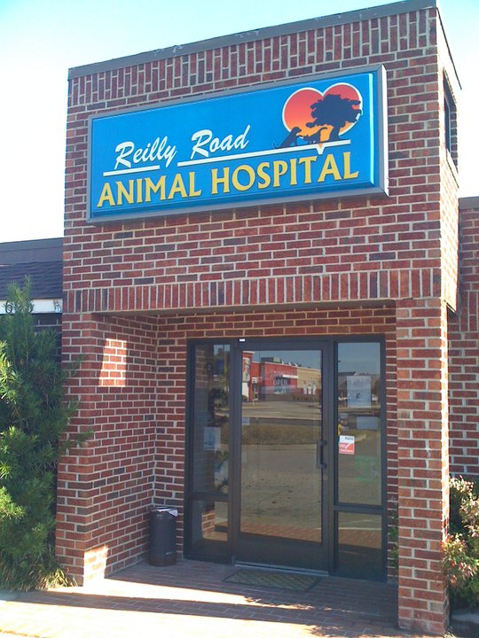 Reilly Road Animal Hospital - Fayetteville , United States