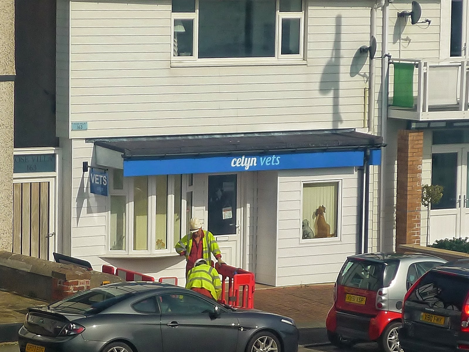 Celyn Vet Group - Conwy , United Kingdom