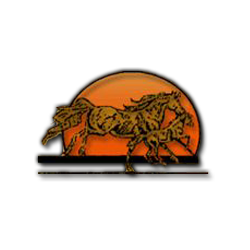 The Whole Horse - San Marcos , United States