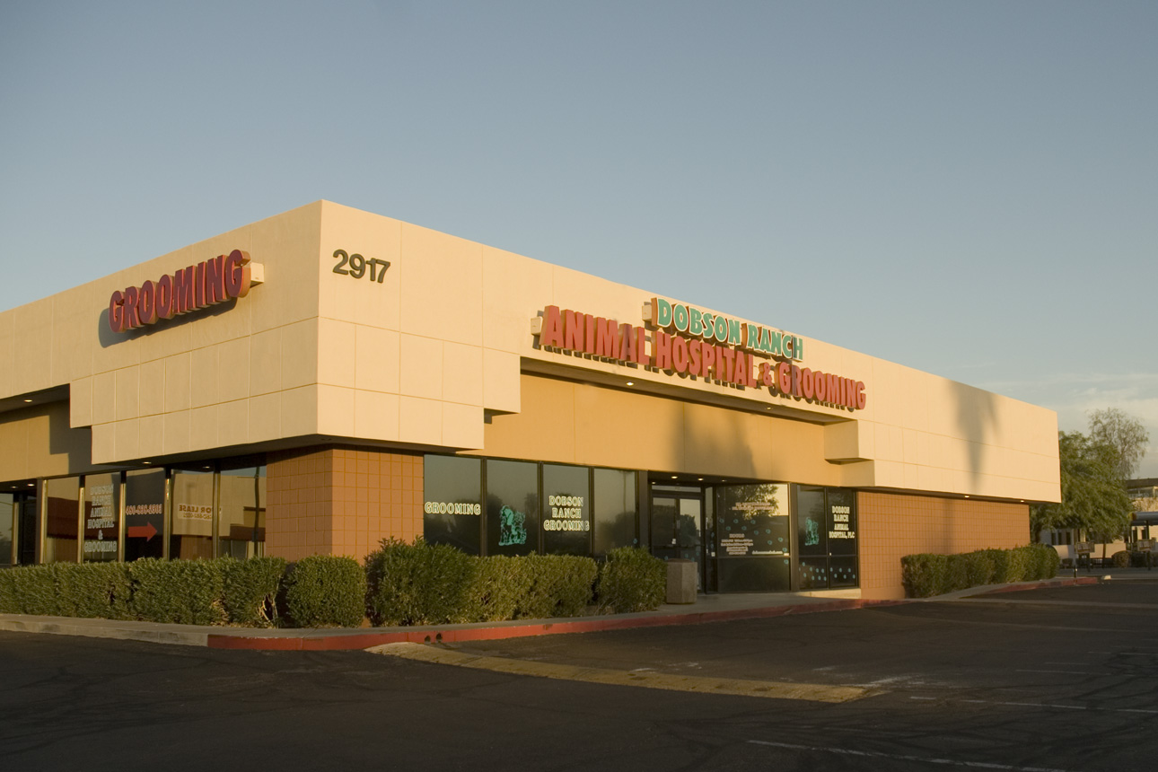 Lovet Pet Health Care Dobson Ranch - Mesa , United States