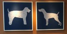 Animal Dermatology Clinic of BC - Richmond , Canada