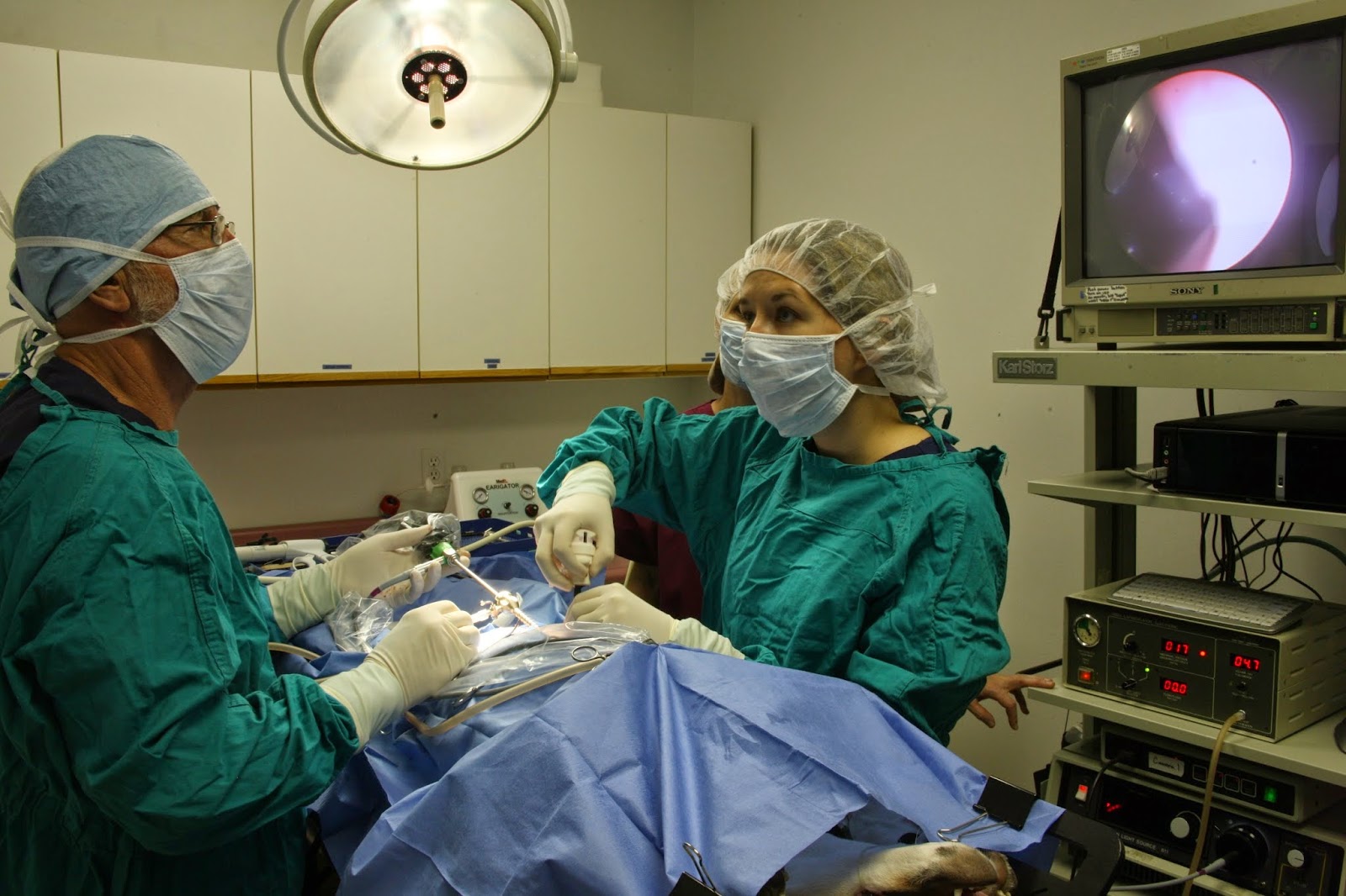 Doc·Side Veterinary Medical Center - Baltimore , United States