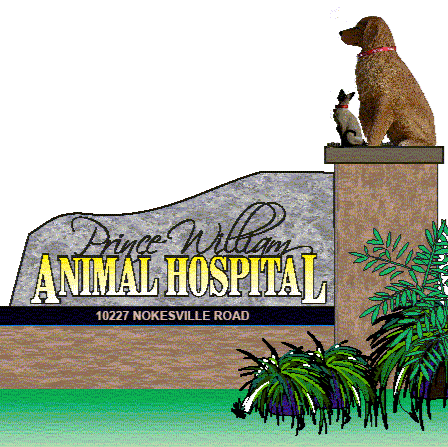 Prince William Animal Hospital - Manassas , United States