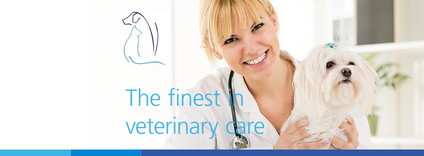 Knoxville Animal Clinic - Knoxville , United States