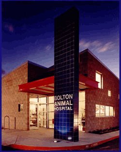 Bolton Animal Hospital - Albuquerque , United States