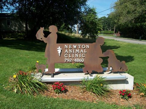 Curry Scott L Dvm - Newton , United States