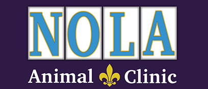 Nola Animal Clinic - New Orleans , United States