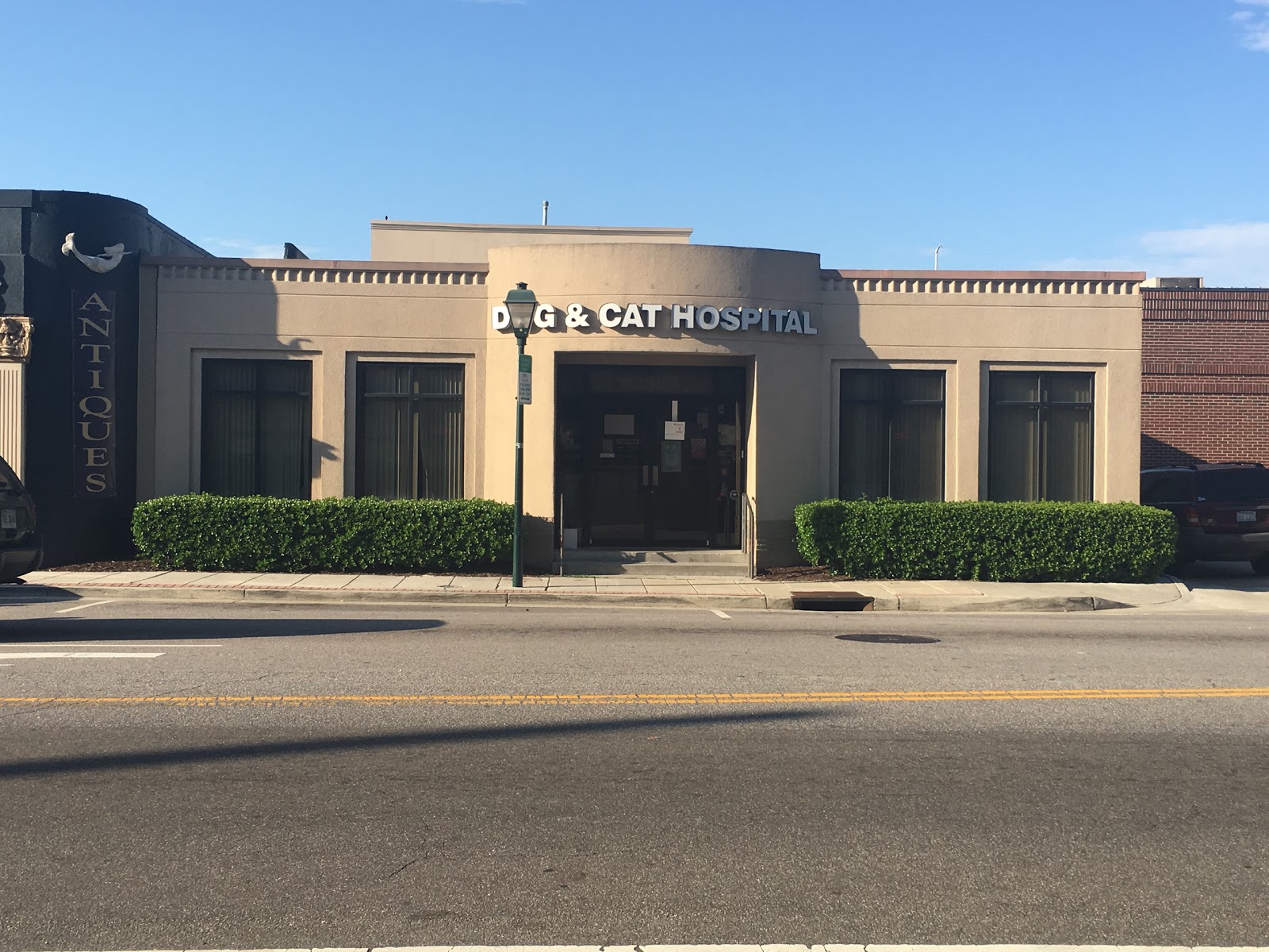 Dog And Cat Hospital - Norfolk , United States