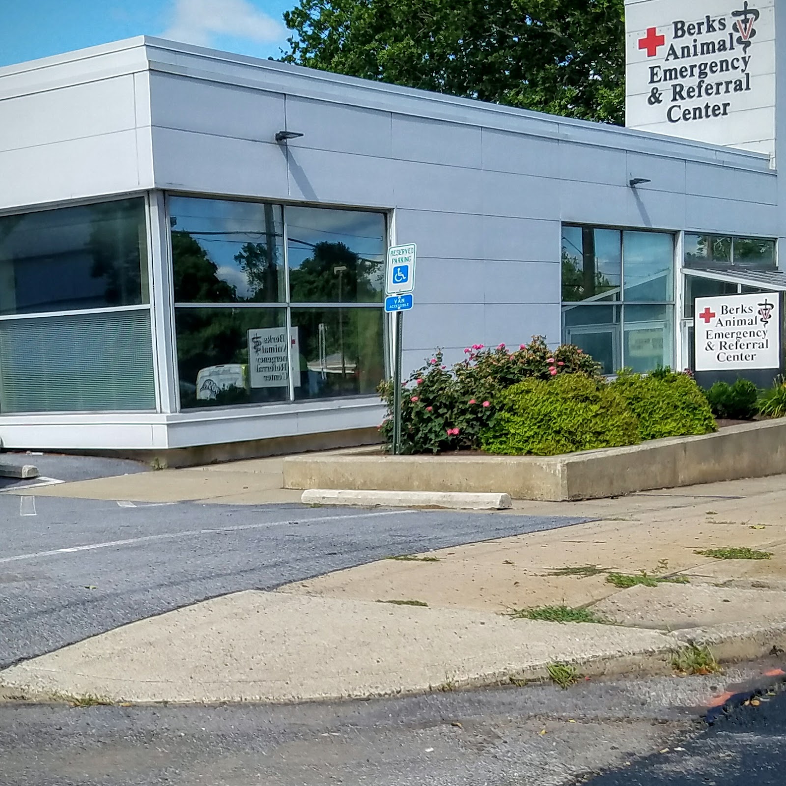 Bluepearl Pet Hospital Wyomissing - Wyomissing , United States