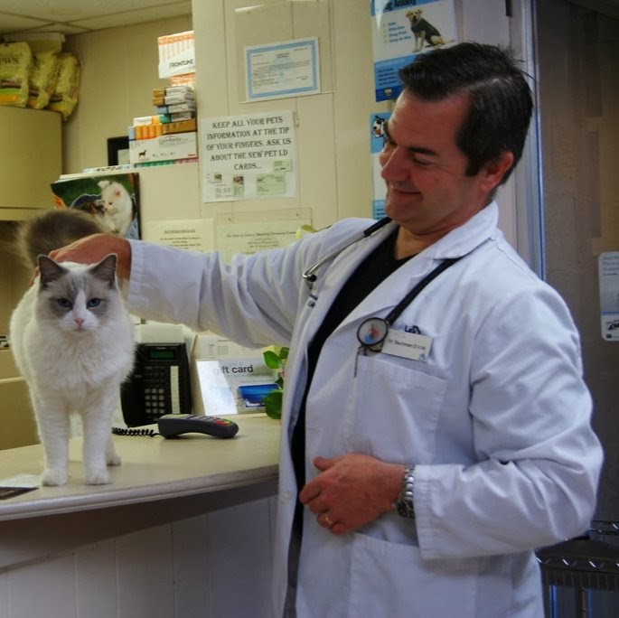 Fma Animal Hospital - Westwood , United States