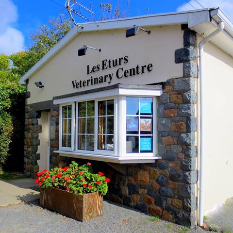 Northside Veterinary Centre - Guernsey , United Kingdom
