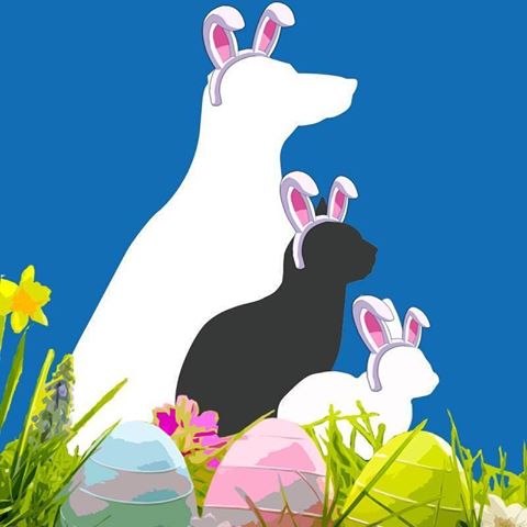 Camlas Petcare Vets Welshpool - Welshpool , United Kingdom