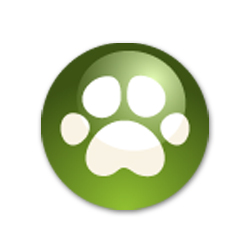 Westward Animal Hospital - Saskatoon , Canada