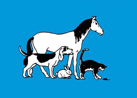 Kragga Kamma Veterinary Hospital - Gqeberha , South Africa