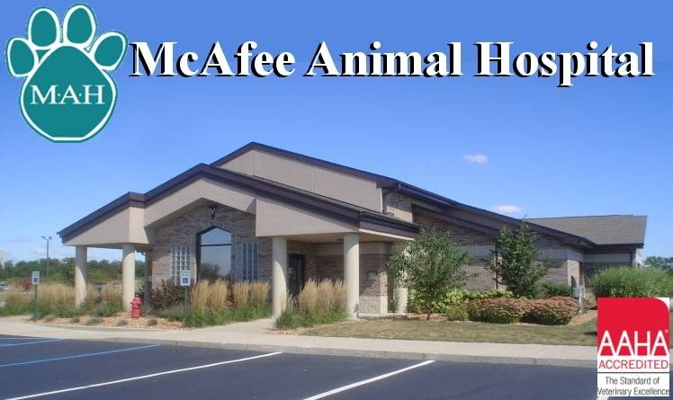 Mcafee Animal Hospital - Valparaiso , United States