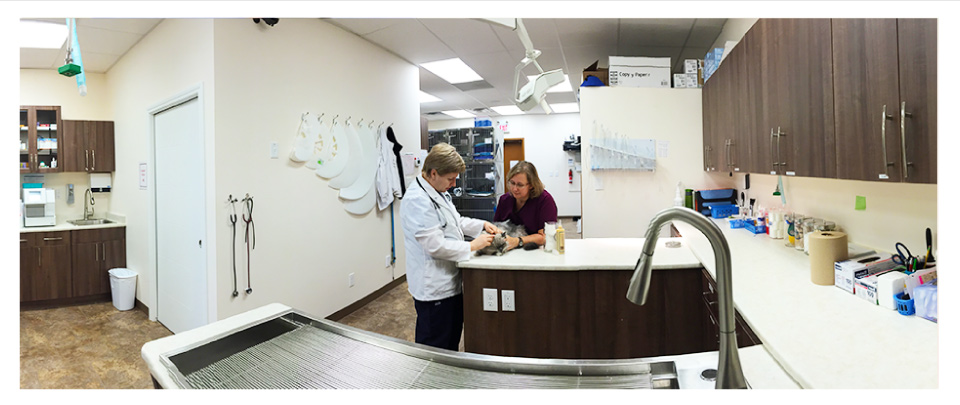 Hamptons Animal Hospital / Spay And Neuter Centre - Edmonton , Canada