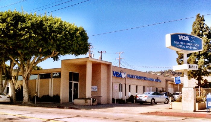 Vca Miller Robertson Animal Hospital - Los Angeles , United States