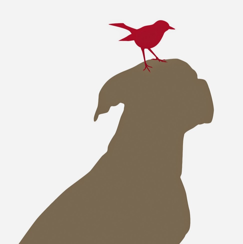 North Central Animal Hospital - Phoenix , United States