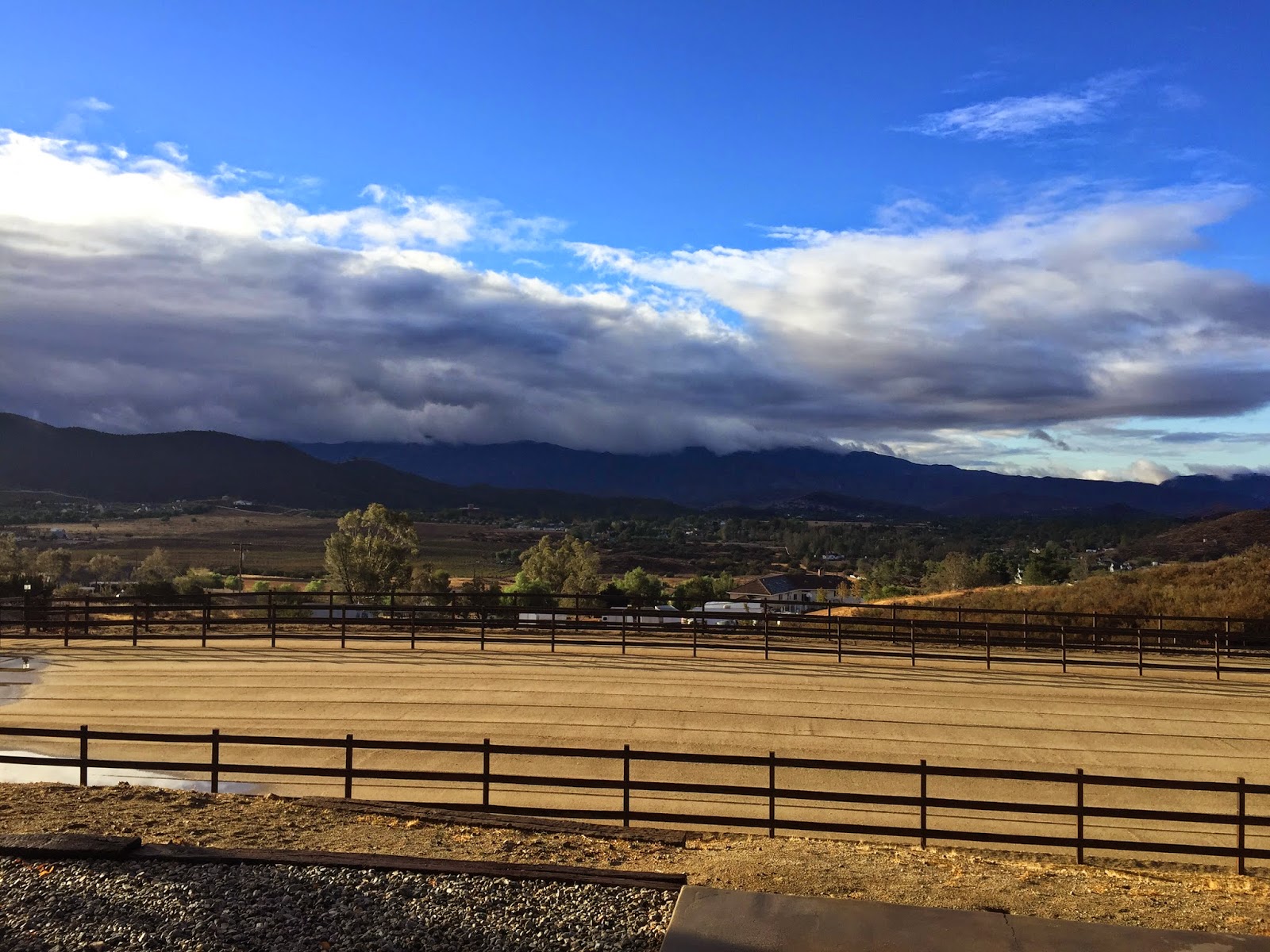 Mobile Equine Diagnostics - Santa Clarita , United States