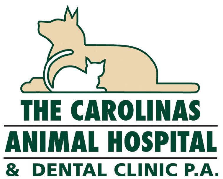 The Carolinas Animal Hospital and Dental Clinic P.A. - Charlotte , United States