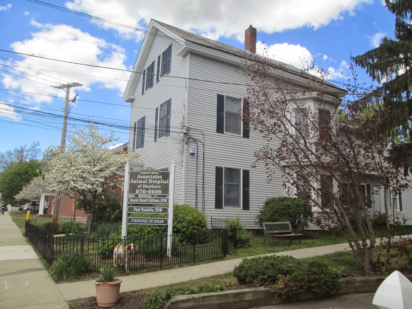 Associates Animal Hospital - Westborough , United States