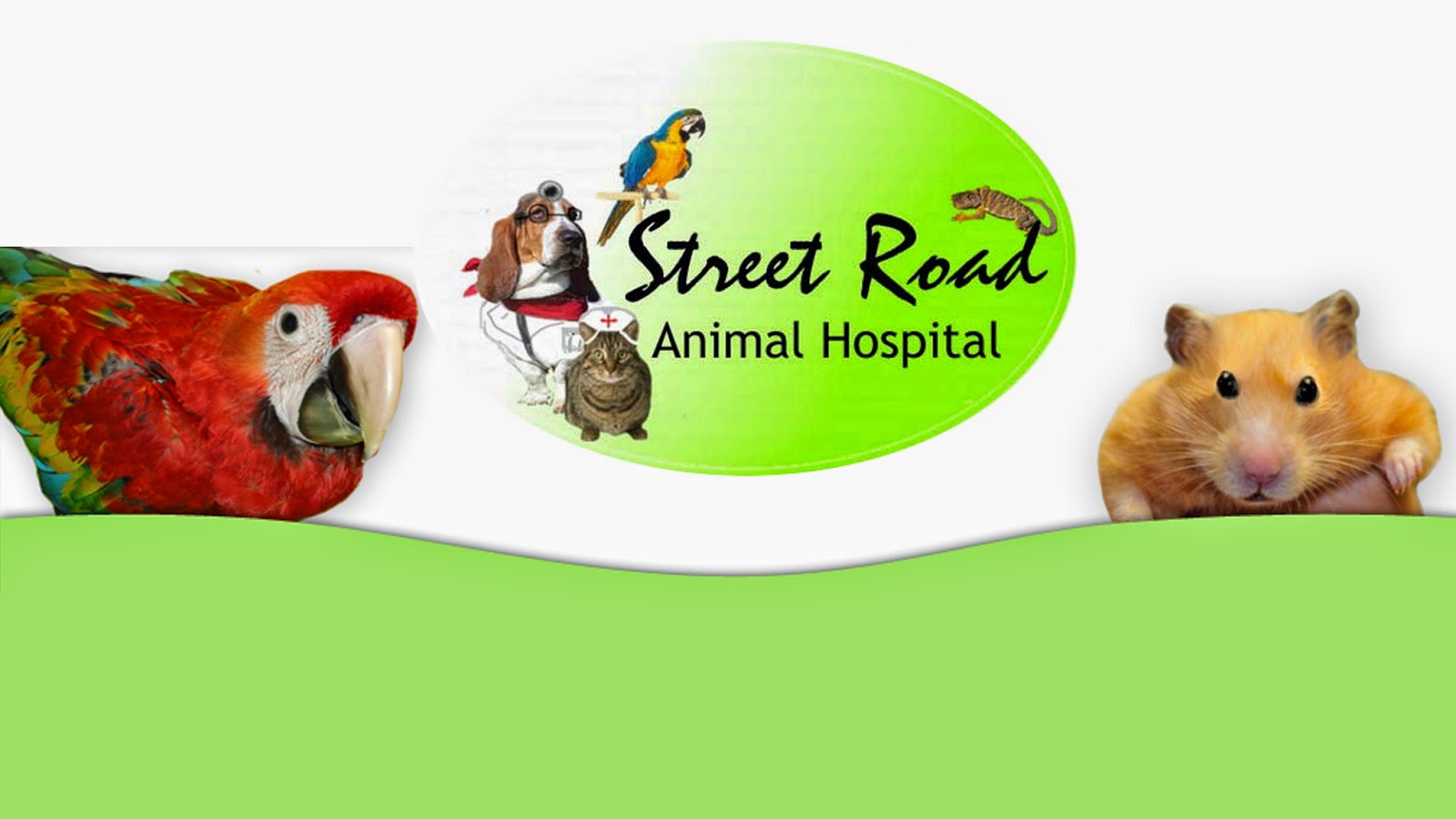 Street Road Animal Hospital - Feasterville-Trevose , United States