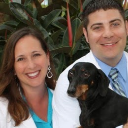Animal Medical Hospital Of Naples - Naples , United States