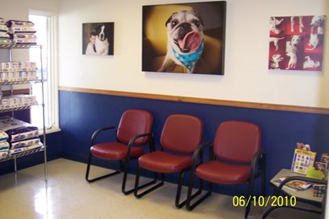 Animal Medical Clinic Of Springfield - Springfield , United States
