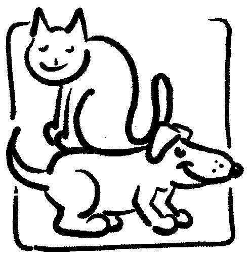 Middlesex Veterinary Center - Littleton , United States