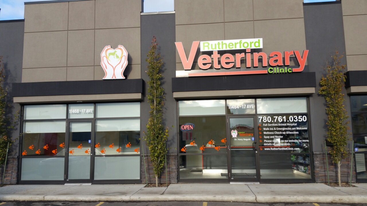 Edmonton 2024 veterinary clinic