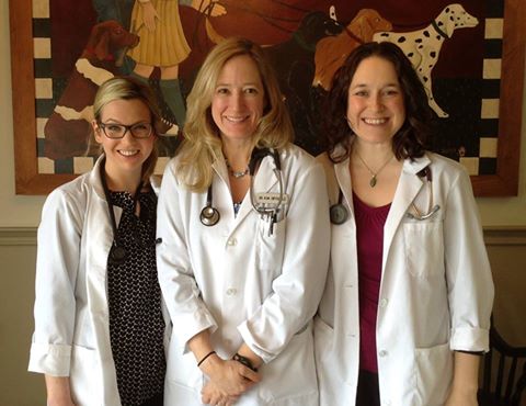 Belleway Veterinary Hospital - Belleville , Canada