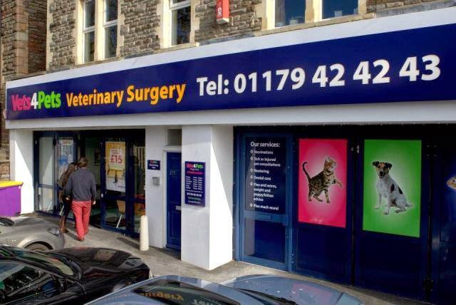 Vets4Pets Bishopston - Bristol , United Kingdom