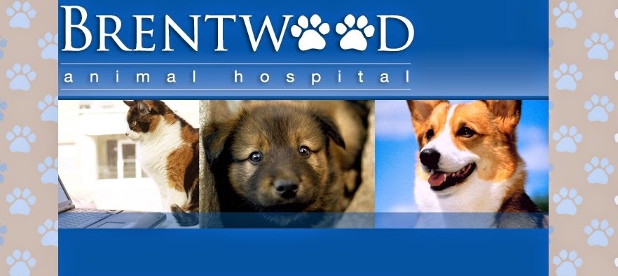 Brentwood Animal Hospital - Oak Creek , United States