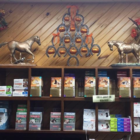 Shawnee Animal Hospital - Shawnee , United States