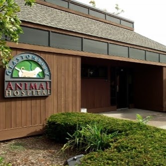Glastonbury Animal Hospital - Glastonbury , United States