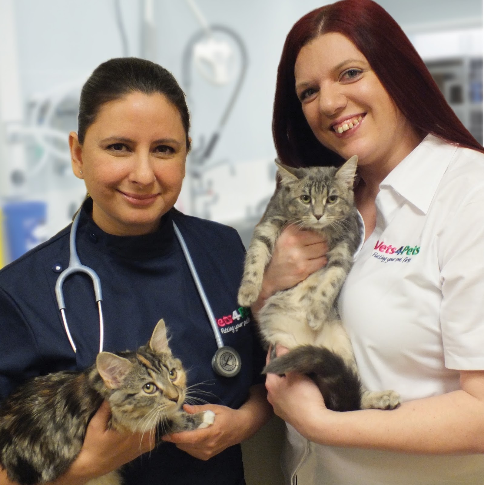 Vets4Pets Kings Lynn - King's Lynn , United Kingdom