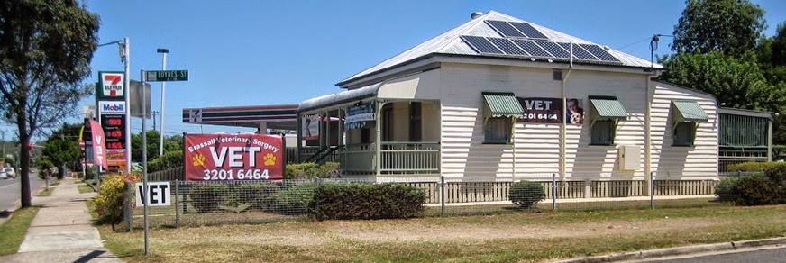 Brassall Veterinary Surgery - Brassall , Australia