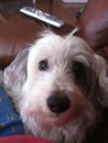Elm Hill Veterinary Clinic - Nashville , United States