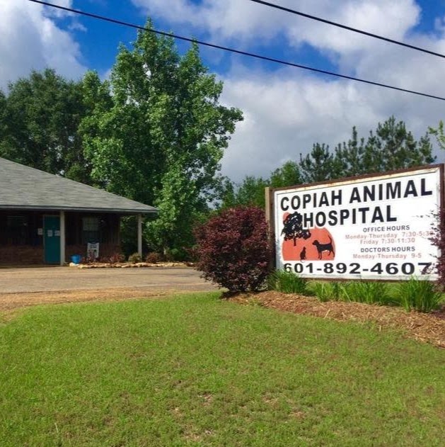 Copiah Animal Hospital - Crystal Springs , United States
