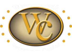 Willow Creek Veterinary Center - Reading , United States