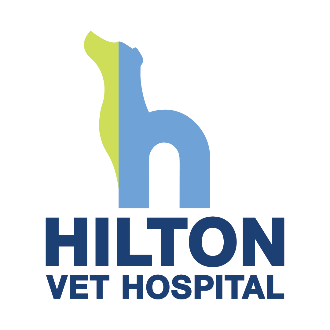 Hilton Vet Hospital - Hilton , Australia
