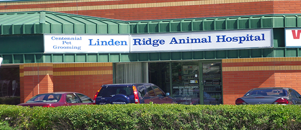 Linden Ridge Animal Hospital - Winnipeg , Canada