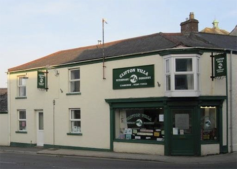 Clifton Villa Veterinary Surgery - Camborne , United Kingdom