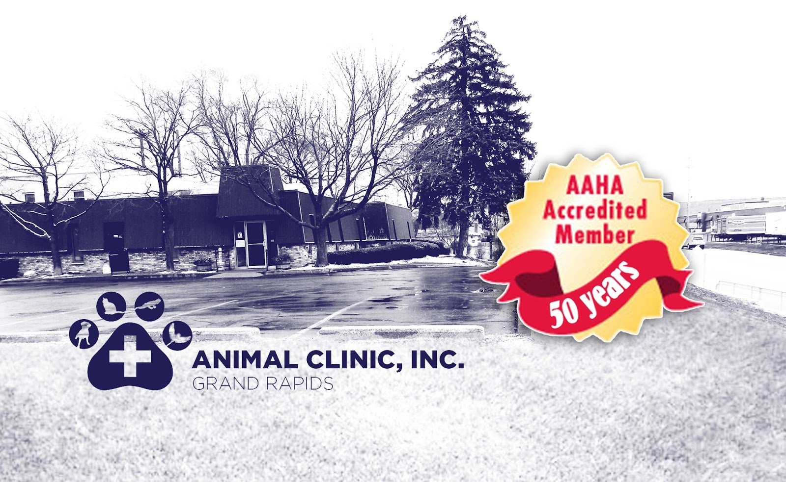Animal Clinic Inc Grand Rapids - Grand Rapids , United States