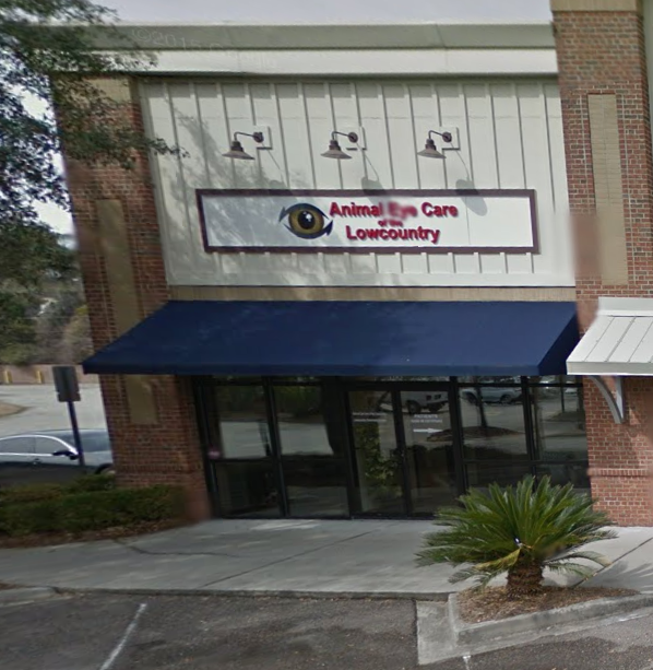 Animal Eye Care Associates - Mt Pleasant , United States